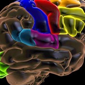 Meet your Posher, Calbert